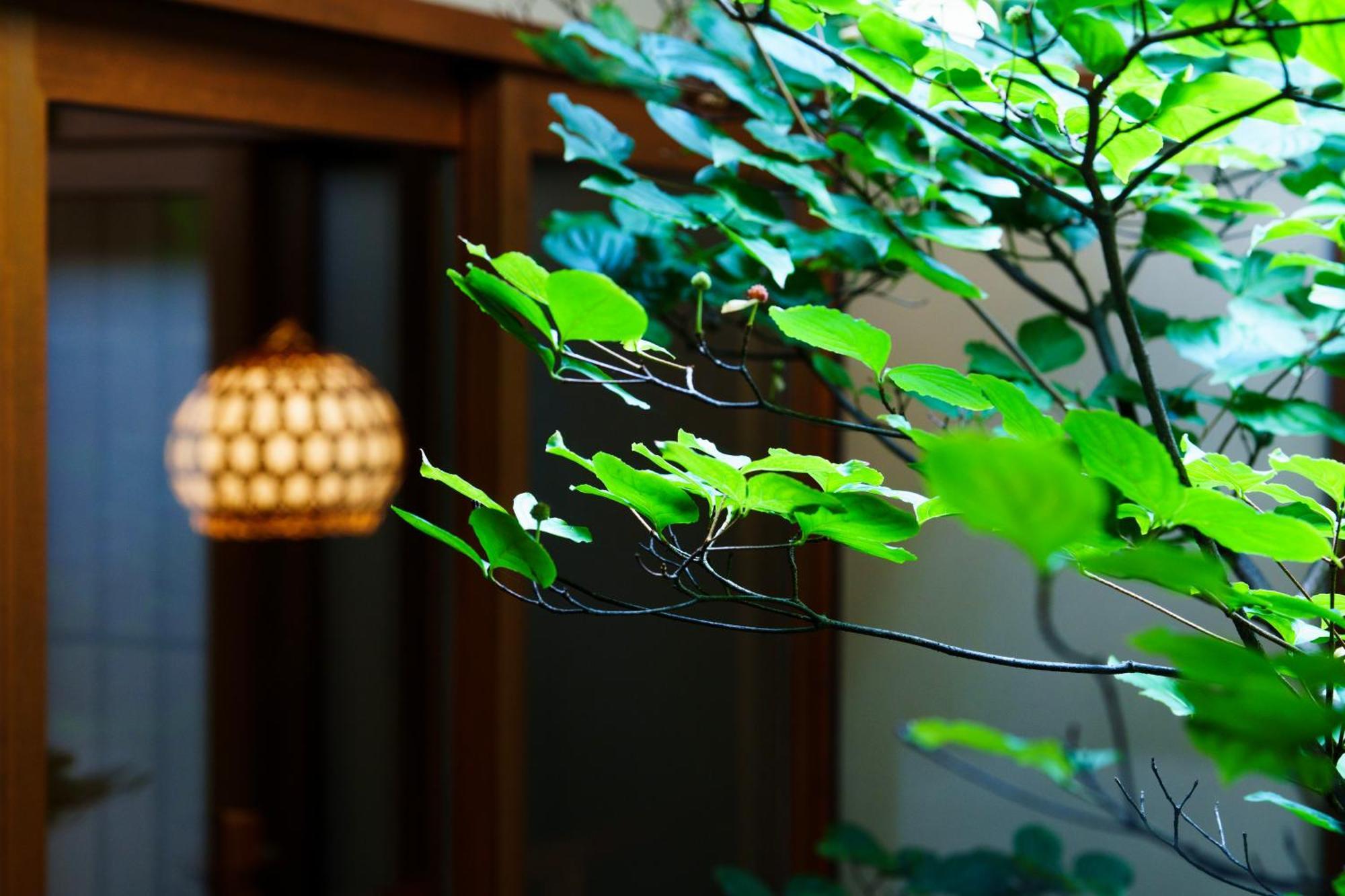 Hotori Villa Kyoto Exterior photo